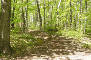 Hiking and Fitness trails