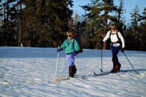 Cross Country Ski at Little Sweden